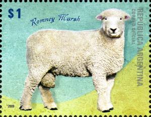 Colnect-956-313-Romney-Marsh-Sheep-Ovis-ammon-aries.jpg