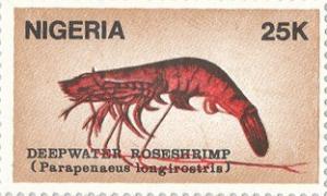 Colnect-959-540-Deep-water-Rose-Shrimp-Parapenaeus-longirostris.jpg