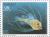 Colnect-180-901-Anglerfish-Lophius-piscatorius.jpg
