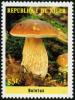Colnect-1008-712-Mushrooms---Boletus.jpg