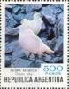 Colnect-1598-510-Snowy-Sheatbill-Chionis-alba.jpg