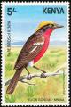 Colnect-2486-466-Mufumbiri-Shrike-Laniarius-mufumbiri.jpg