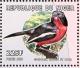 Colnect-4908-446-Crimson-breasted-Shrike----Laniarius-atrococcineus.jpg