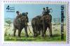 Colnect-533-573-Trapper-with-Asian-Elephant-Elephas-maximus.jpg