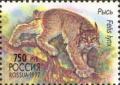 Colnect-525-487-Eurasian-Lynx-Lynx-lynx.jpg