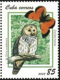 Colnect-872-211-Ural-Owl-Strix-uralensis-Northern-Clouded-Yellow-Colias-.jpg