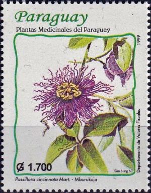 Colnect-3889-323-Passiflora-cincinnata.jpg