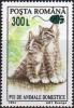 Colnect-758-016-Kittens-Felis-silvestris-catus---Surcharged.jpg