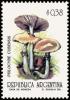 Colnect-5019-163-Psilocybe-cubernis.jpg