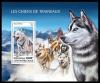 Colnect-6169-261-Alaskan-Husky-Canis-lupus-familiaris.jpg