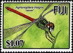 Colnect-1613-778-Narrow-bodied-Skimmer-Agrionoptera-insignis-.jpg