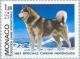 Colnect-148-931-Siberian-Husky-Canis-lupus-familiaris.jpg