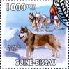 Colnect-3748-352-Siberian-Husky-Canis-lupus-familiaris.jpg