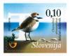 Colnect-2694-612-Birds-of-Slovenia---Kentish-plover.jpg