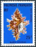 Colnect-3221-347-Sea-Snail-Murex-steeriae.jpg