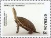 Colnect-4523-269-Caspian-pond-turtle.jpg