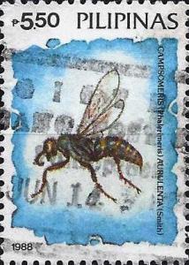 Colnect-2954-047-Scoliid-Wasp-Campsomeris-aurulenta-.jpg