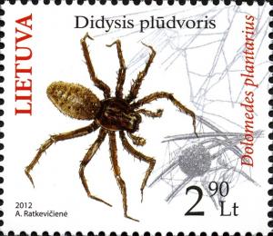 Colnect-1587-151-Great-raft-spider-Dolomedes-plantarius.jpg