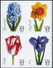 Colnect-202-346-Spring-Flowers.jpg