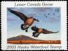 Colnect-6339-421-Lesser-Canada-Goose.jpg