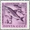 Stamp_of_USSR_2469.jpg