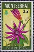 Colnect-3924-348-Passiflora-vitifolia.jpg