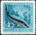 Stamp_of_USSR_2331.jpg
