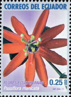 Colnect-2197-997-Passiflora-manicata.jpg