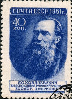 Stamp_of_USSR_1631g.jpg