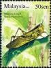 Colnect-1446-517-Javanese-Grasshopper-Valanga-nigricornis.jpg