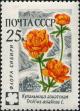 Stamp_of_USSR_2496.jpg