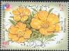 Colnect-1103-263-Philakorea-2002-World-Stamp-Exhibition---Flowers---Ranuculus.jpg