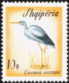 Colnect-5086-996-White-Stork-Ciconia-ciconia.jpg