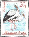 Colnect-5281-828-White-Stork-Ciconia-ciconia.jpg
