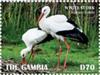 Colnect-5726-908-White-Stork-Ciconia-ciconia.jpg