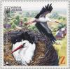 Colnect-5839-600-White-Stork-Ciconia-ciconia.jpg