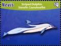 Colnect-3706-343-Striped-dolphin.jpg