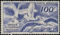Colnect-582-367-White-Stork-Ciconia-ciconia.jpg