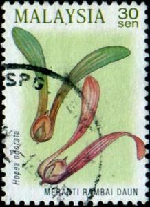 Colnect-1521-415-Union-of-Forestry-Research--Hopea-odorata.jpg