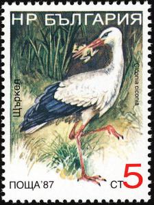 Colnect-732-665-White-Stork-Ciconia-ciconia.jpg