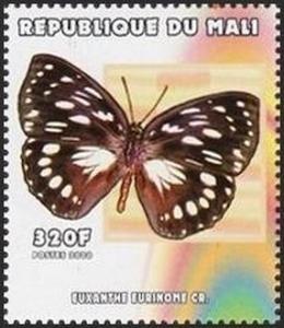 Colnect-2606-952-Common-Forest-Queen-Euxanthe-eurinome.jpg