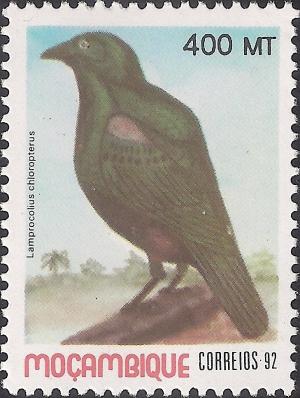 Colnect-1120-130-Lesser-Blue-eared-Starling-Lamprotornis-chloropterus.jpg