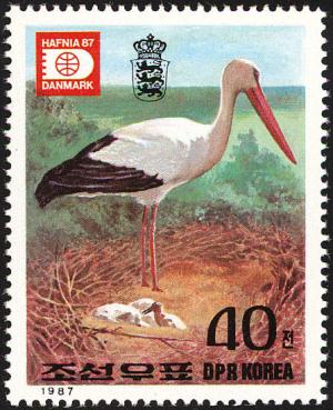 Colnect-2034-731-White-Stork-Ciconia-ciconia.jpg