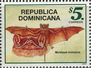 Colnect-3154-147-Pallas-s-Mastiff-Bat-Molossus-molossus.jpg