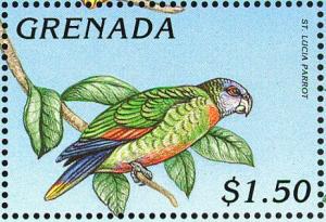 Colnect-4391-313-St-Lucia-parrot.jpg