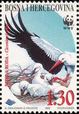 Colnect-5250-694-White-Stork-Ciconia-ciconia.jpg