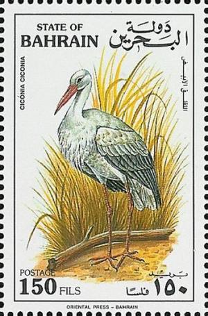 Colnect-854-612-White-Stork-Ciconia-ciconia.jpg