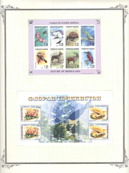 WSA-Tajikistan-Postage-2003-04-2.jpg