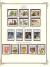 WSA-Jersey-Postage-1991-1.jpg