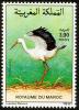 Colnect-1347-825-White-Stork-Ciconia-ciconia.jpg
